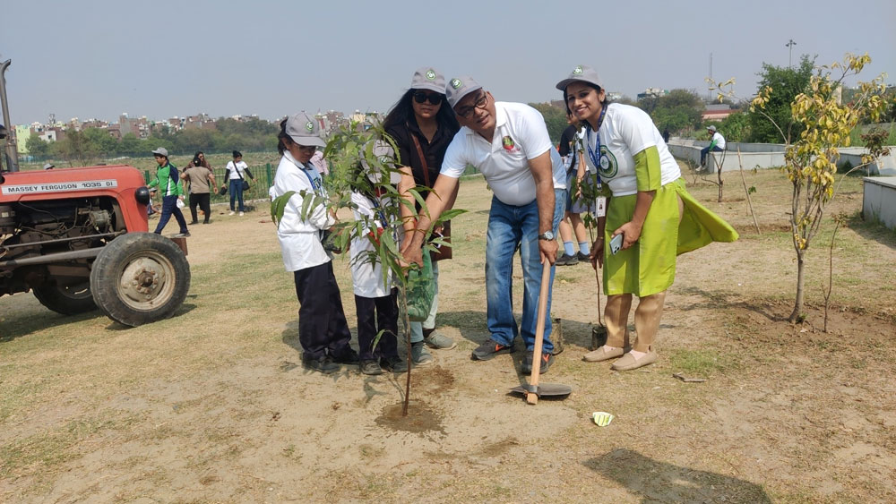 Web-Plantation Drive