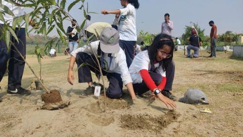 WEB-PLANTATION DRIVE