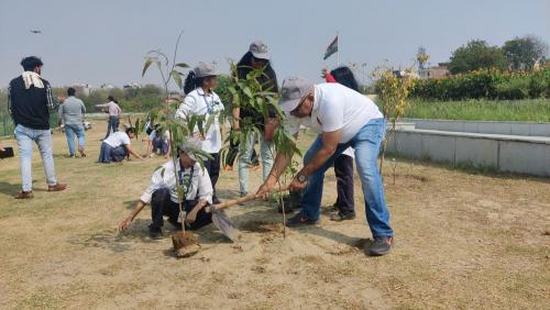 WEB-PLANTATION DRIVE