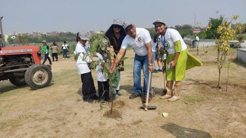 WEB-PLANTATION DRIVE