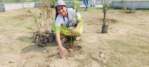 WEB-PLANTATION DRIVE