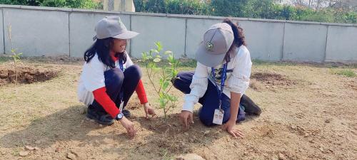 WEB-PLANTATION DRIVE